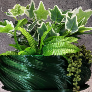Watermelon peperomia 4”